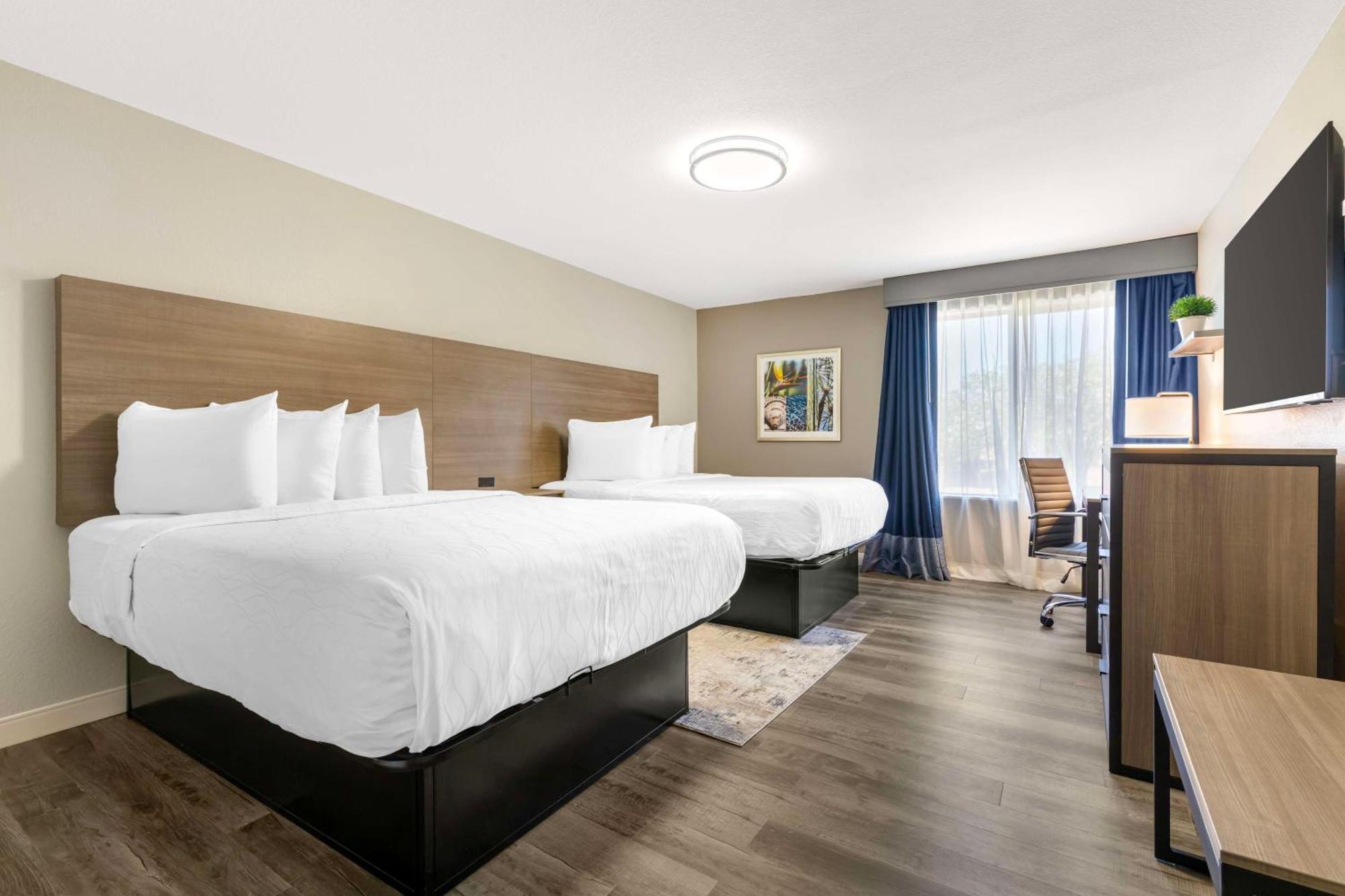 Best Western Plus Lewisville Flower Mound Екстер'єр фото